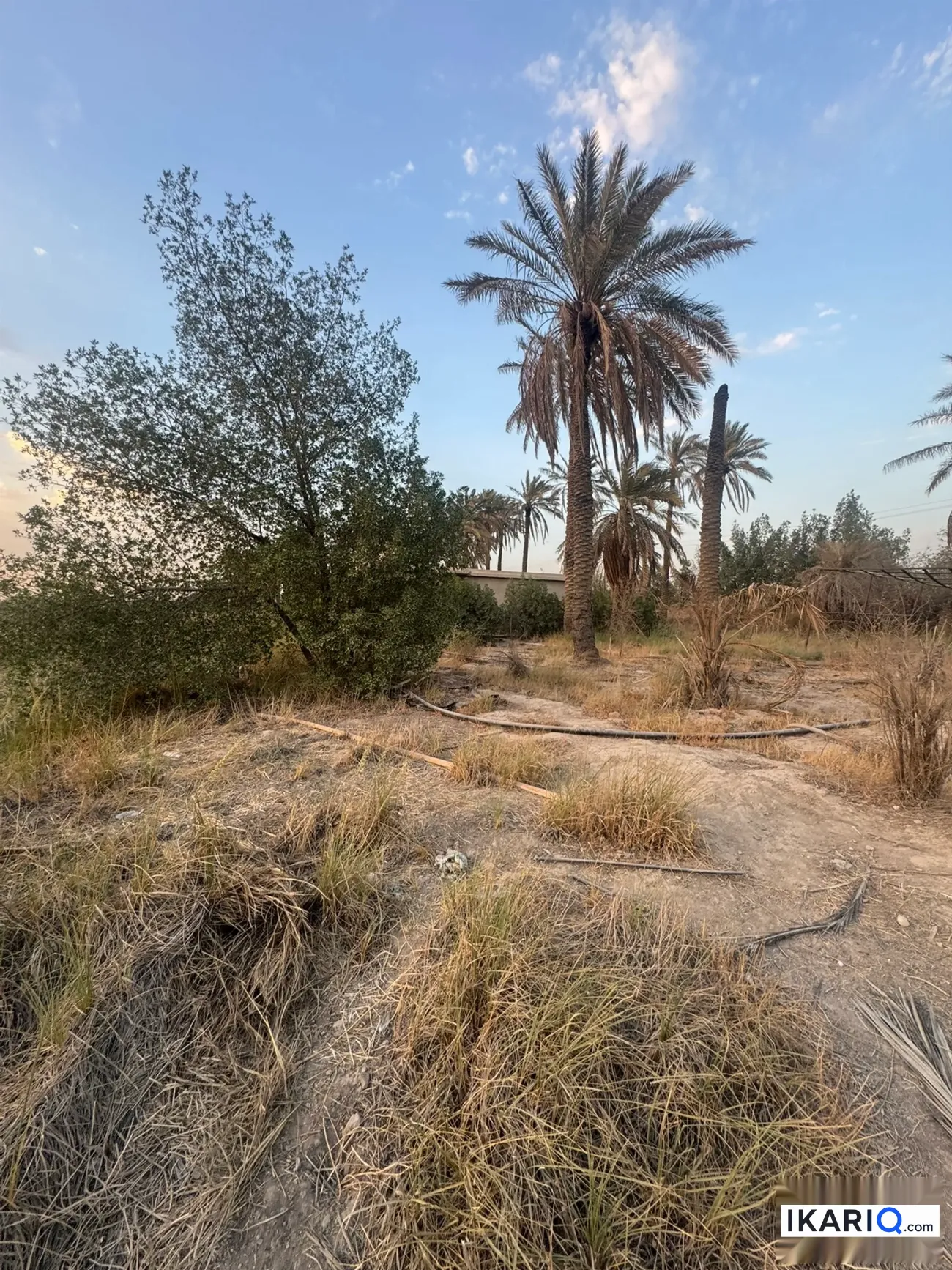 أرض للبيع في جسر ديالى - 5000 م² / 425,000,000 IQD — صورة 7