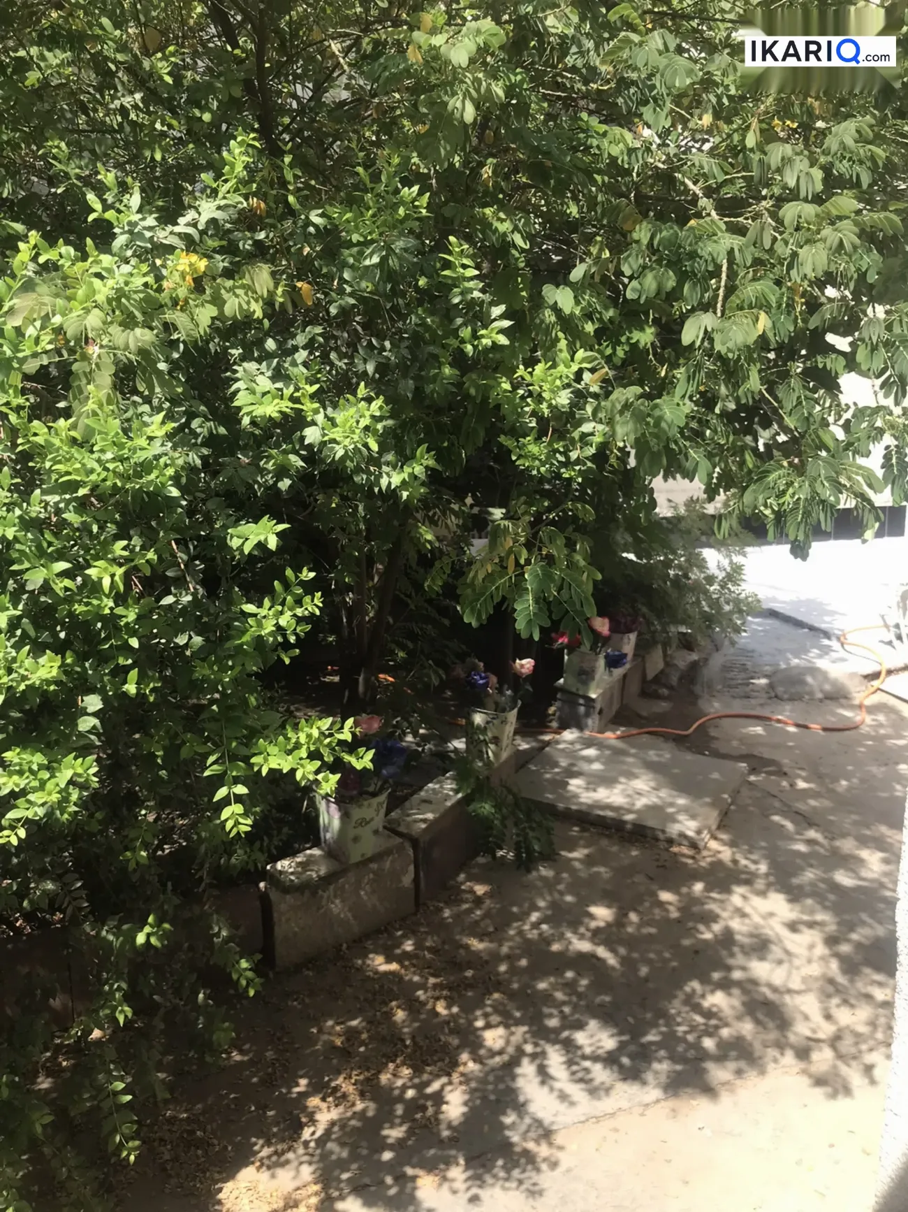 دار للبيع في البياع - 312 م² / 2,000,000 IQD — صورة 6