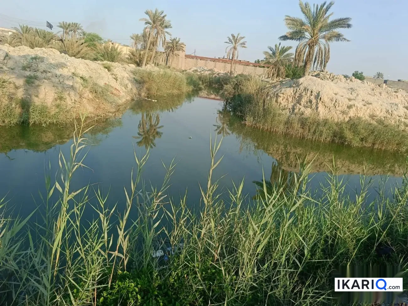 أرض للبيع في ابي الخصيب - 20500 م² / 1,600,000 IQD — صورة 9