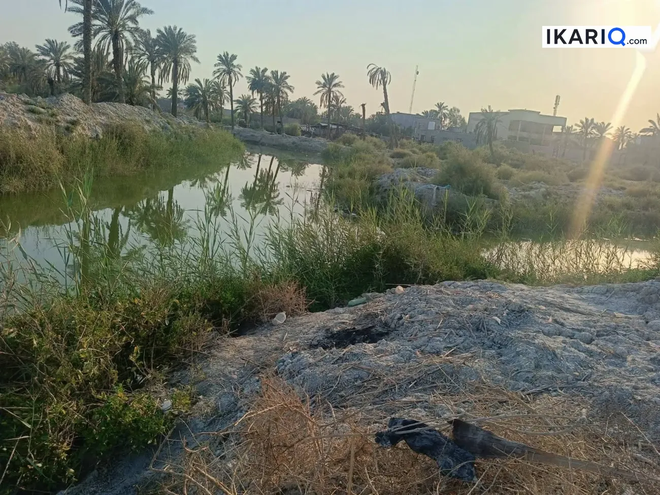 أرض للبيع في ابي الخصيب - 20500 م² / 1,600,000 IQD — صورة 8