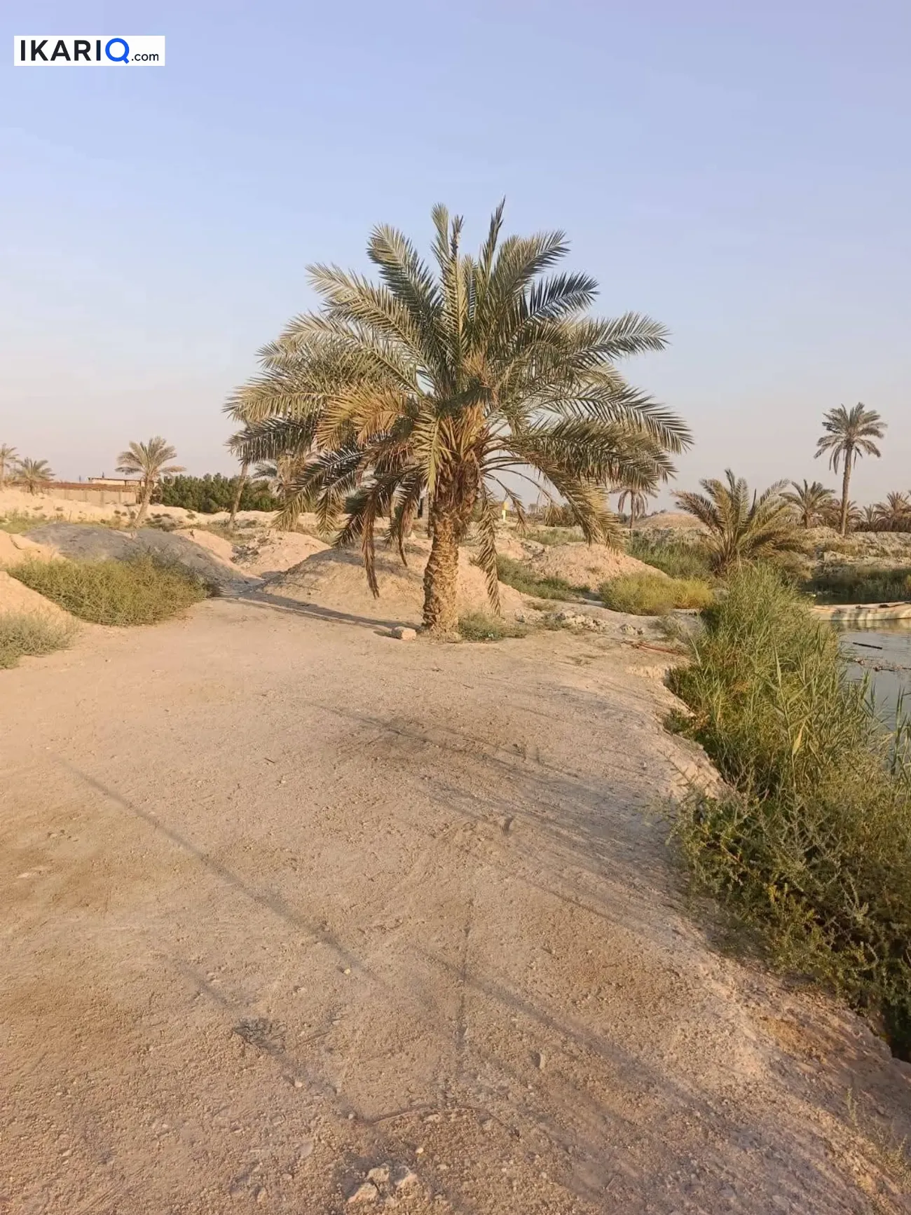 أرض للبيع في ابي الخصيب - 20500 م² / 1,600,000 IQD — صورة 5