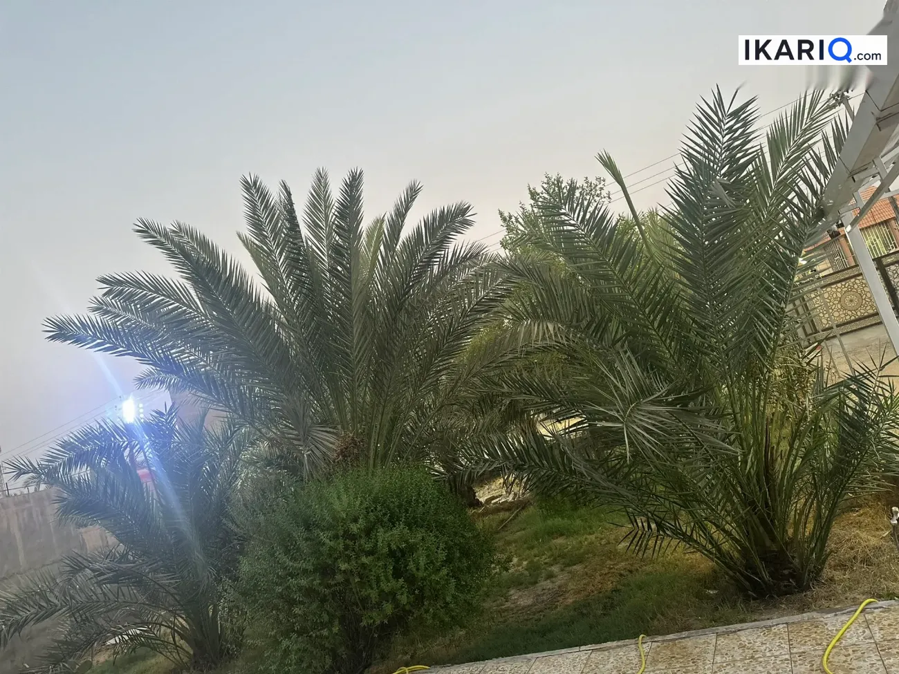 دار للبيع في ابي الخصيب - 200 م² / 800,000,000 IQD — صورة 7