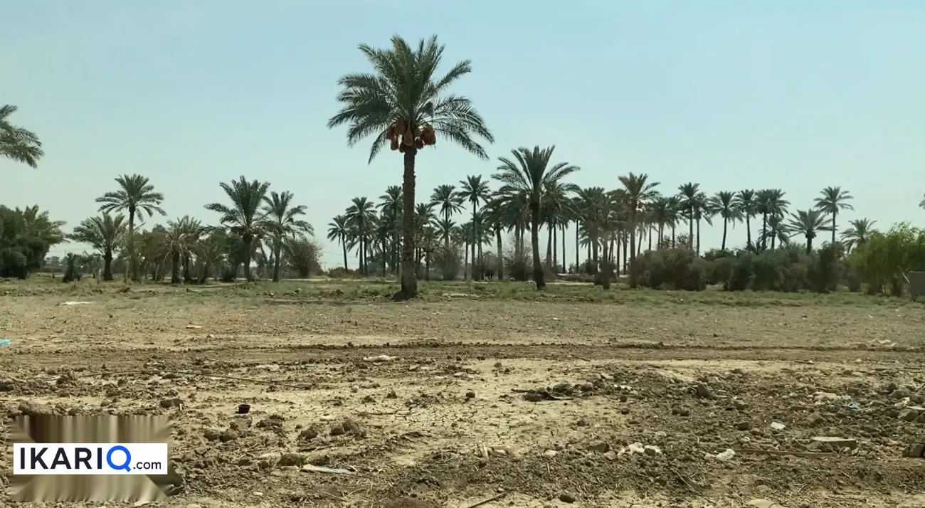 أرض للبيع في ابوغريب - 2500 م² / 400,000,000 IQD — صورة 9