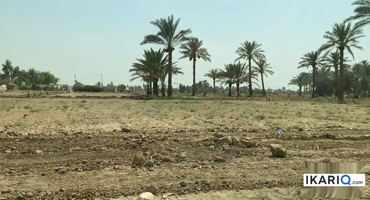 أرض للبيع في ابوغريب - 2500 م² / 400,000,000 IQD — صورة 6