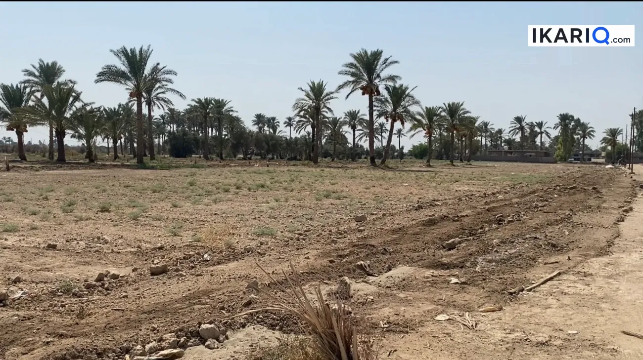 أرض للبيع في ابوغريب - 2500 م² / 400,000,000 IQD — صورة 7