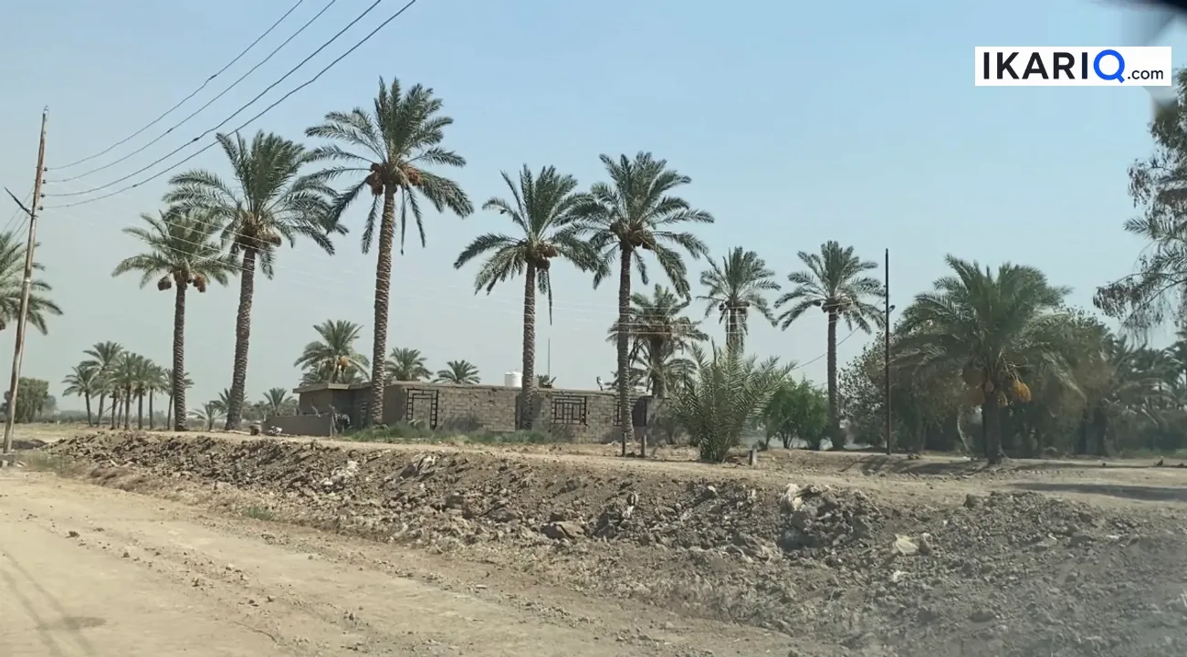 أرض للبيع في ابوغريب - 2500 م² / 400,000,000 IQD — صورة 2