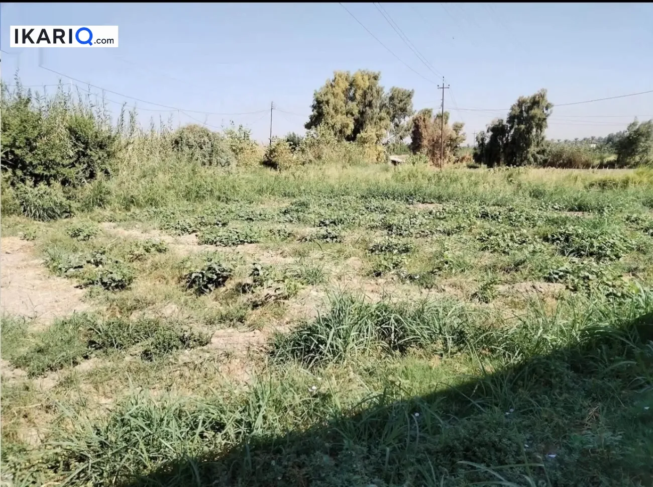 دار للبيع في العزيزية - 250 م² / 150,000,000 IQD — صورة 4