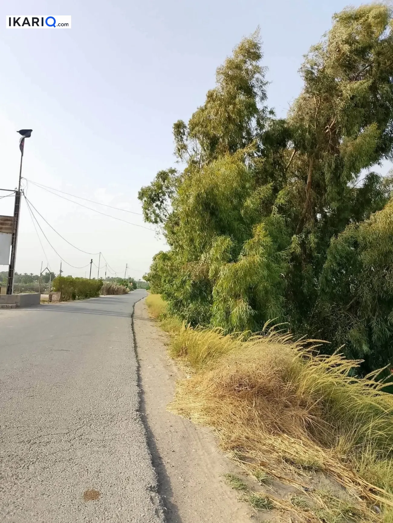 دار للبيع في العزيزية - 250 م² / 150,000,000 IQD — صورة 2