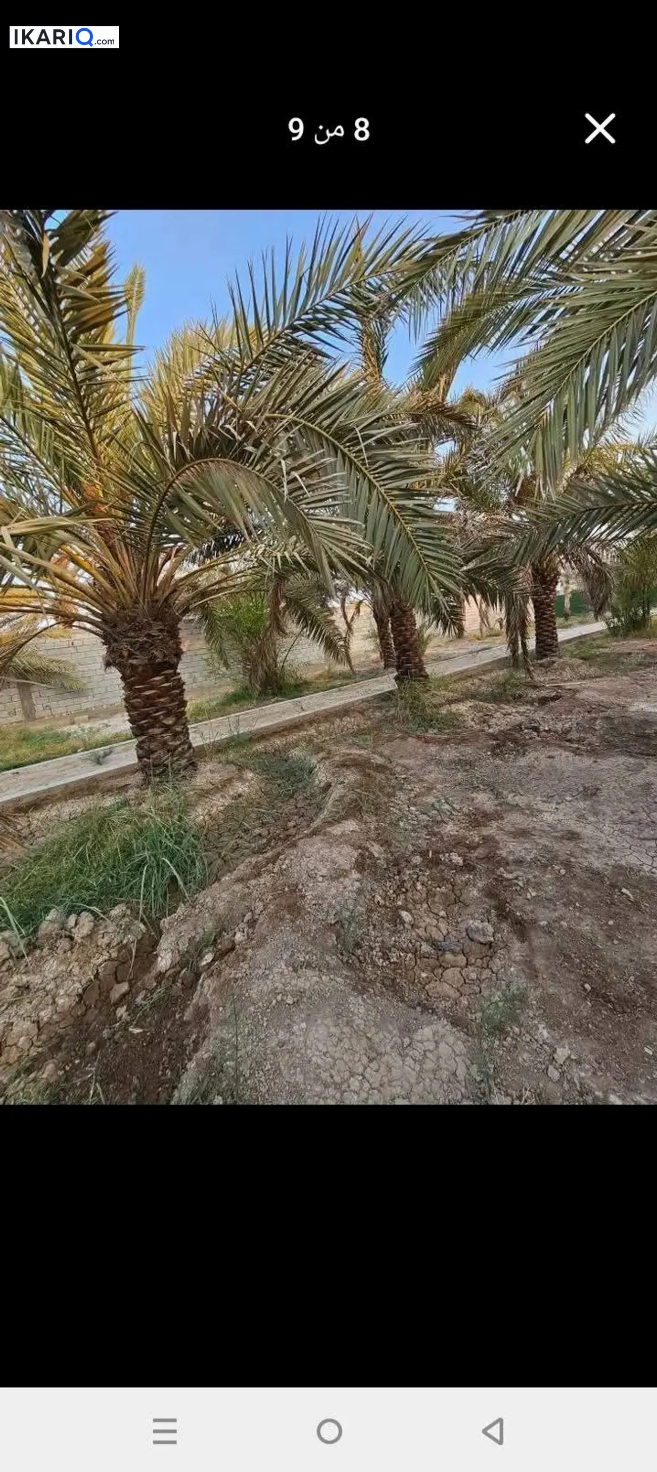 أرض للبيع في ابي الخصيب - 1070 م² / 2,900,000 IQD — صورة 6