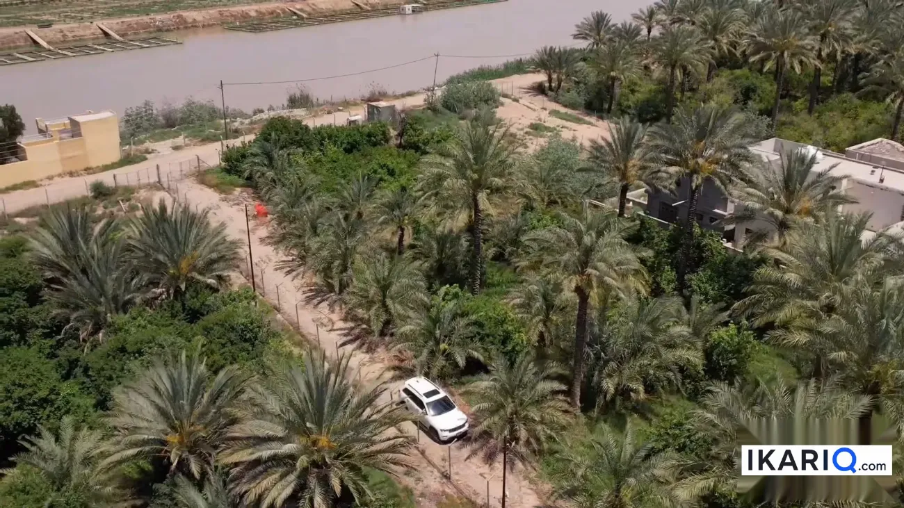 أرض للبيع في الراشدية - 5000 م² / 450,000,000 IQD