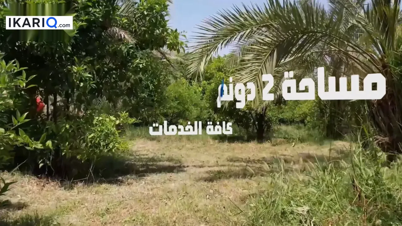 أرض للبيع في الراشدية - 5000 م² / 450,000,000 IQD — صورة 5