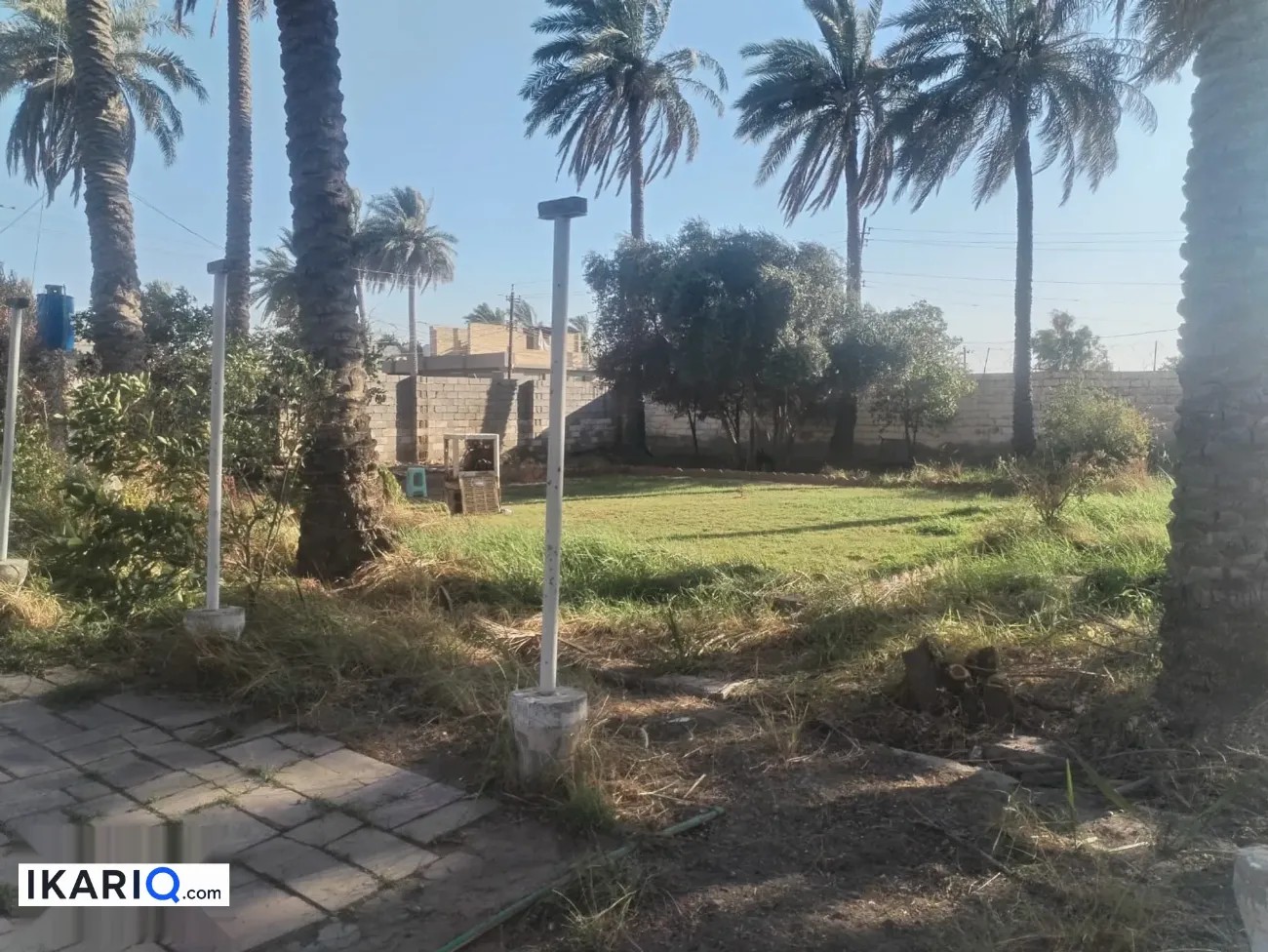 أرض للبيع في ابوغريب - 2500 م² / 100,000,000 IQD