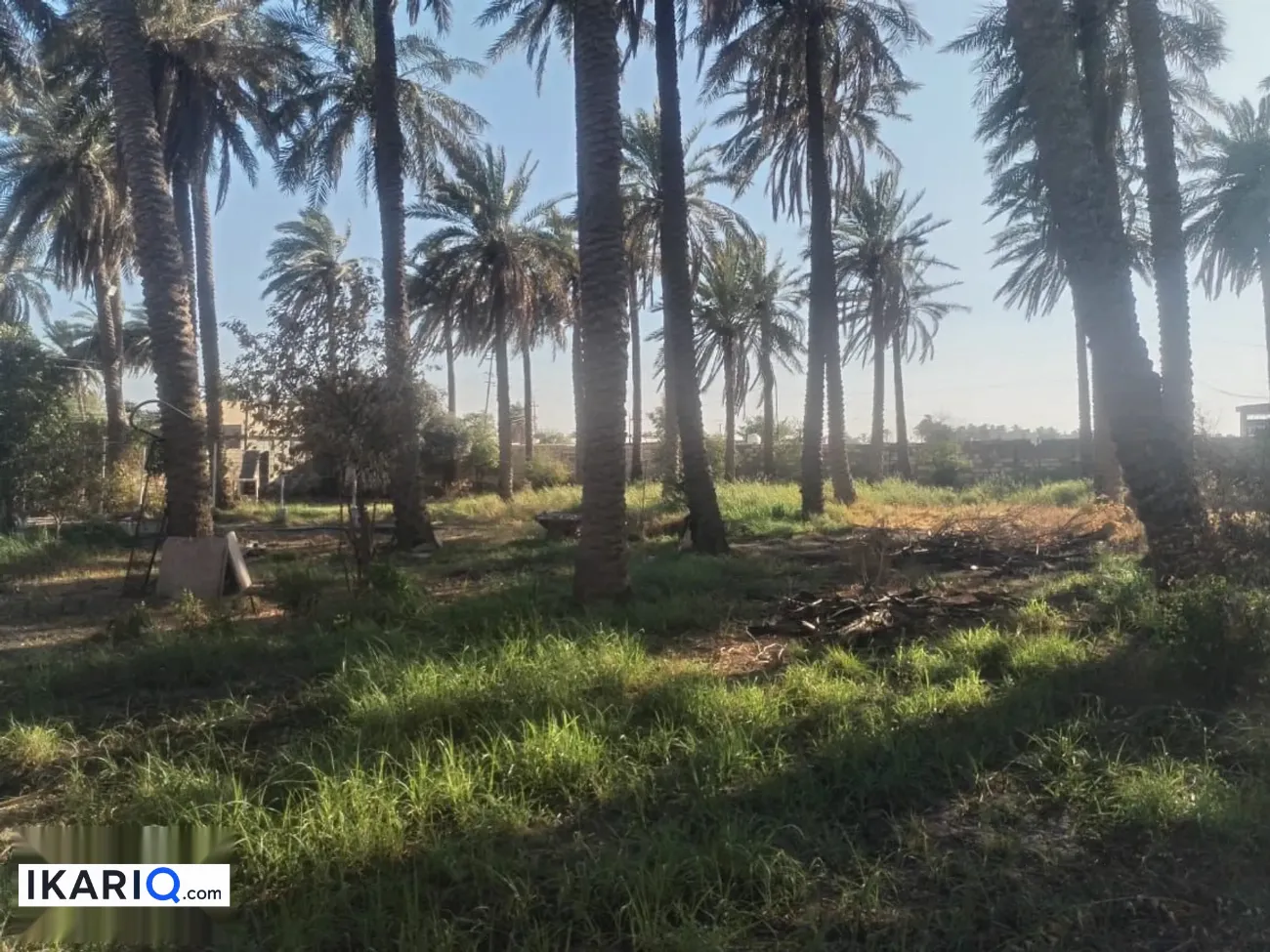 أرض للبيع في ابوغريب - 2500 م² / 100,000,000 IQD — صورة 4