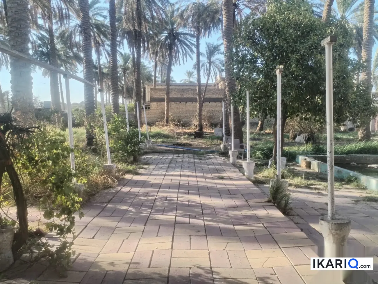 أرض للبيع في ابوغريب - 2500 م² / 100,000,000 IQD — صورة 2