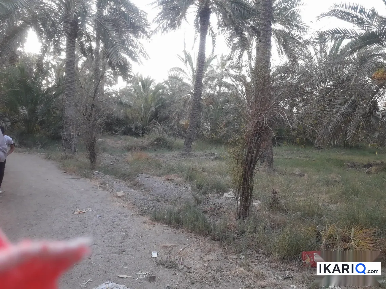 أرض للبيع في ابي الخصيب - 5700 م² / 76,700,777 IQD — صورة 5