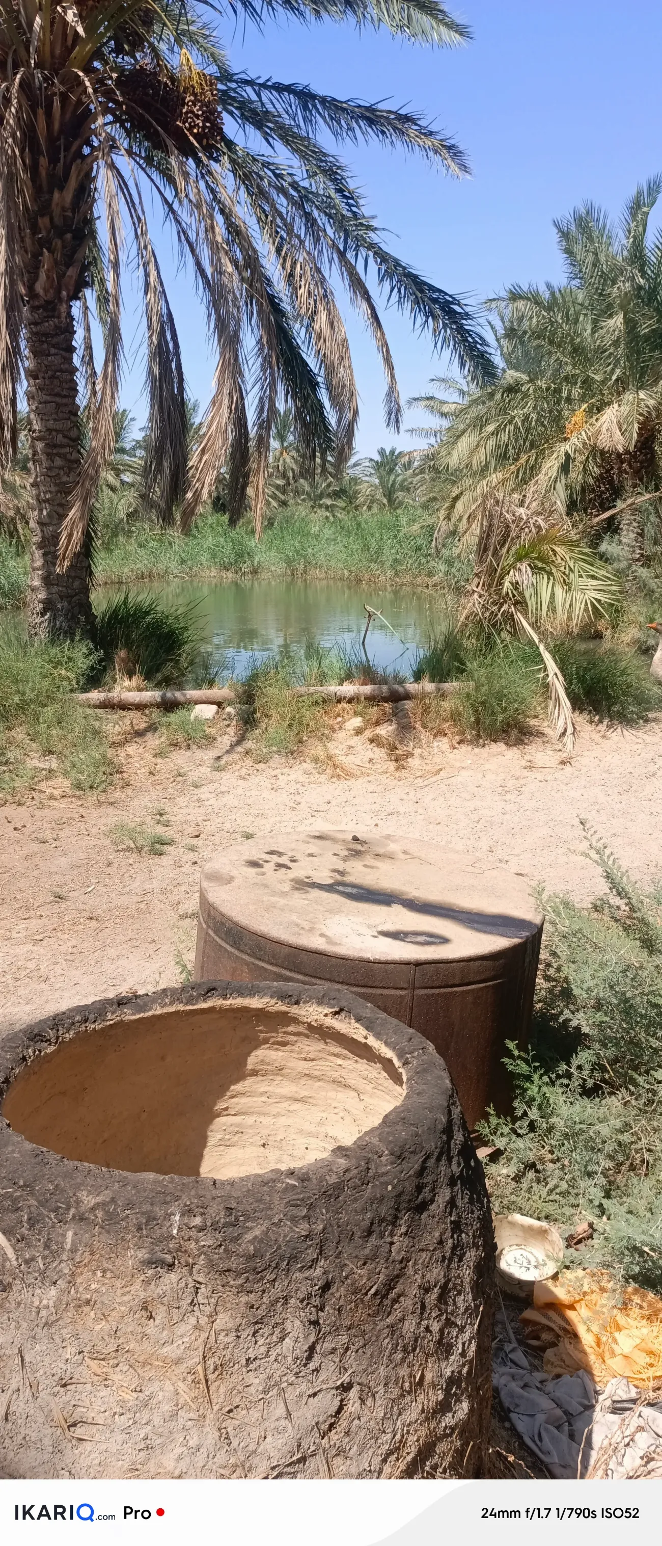 مزرعة للبيع في البصرة - 165 م² / 650,000,000 IQD — صورة 4