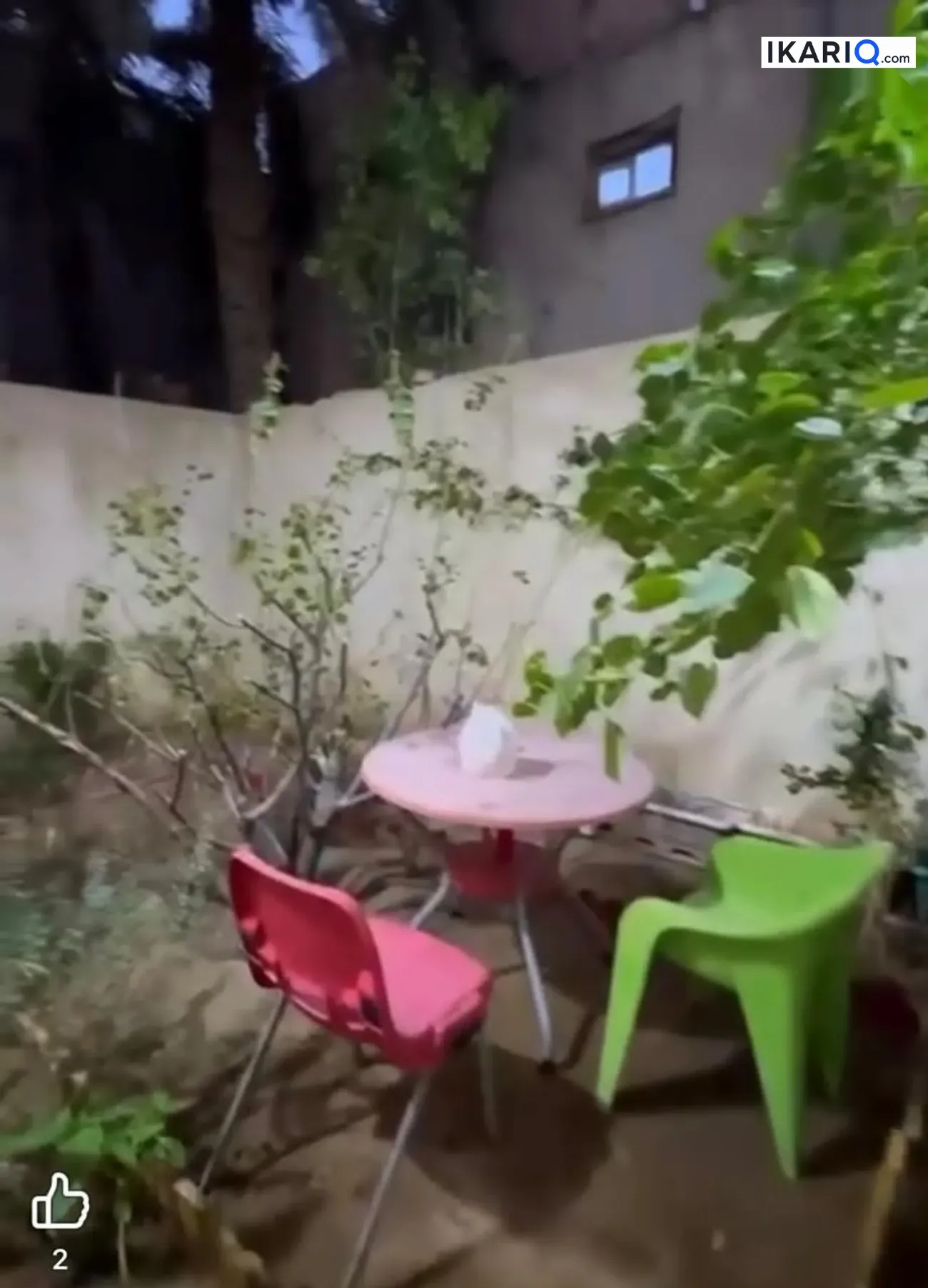 دار للبيع في البصرة - 263 م² / 630,000,000 IQD — صورة 3