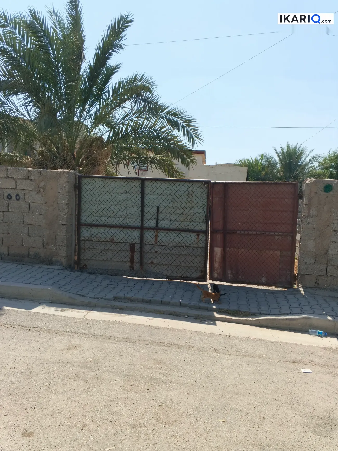 دار للبيع في الشعب - 800 م² / 170,000,000 IQD — صورة 4