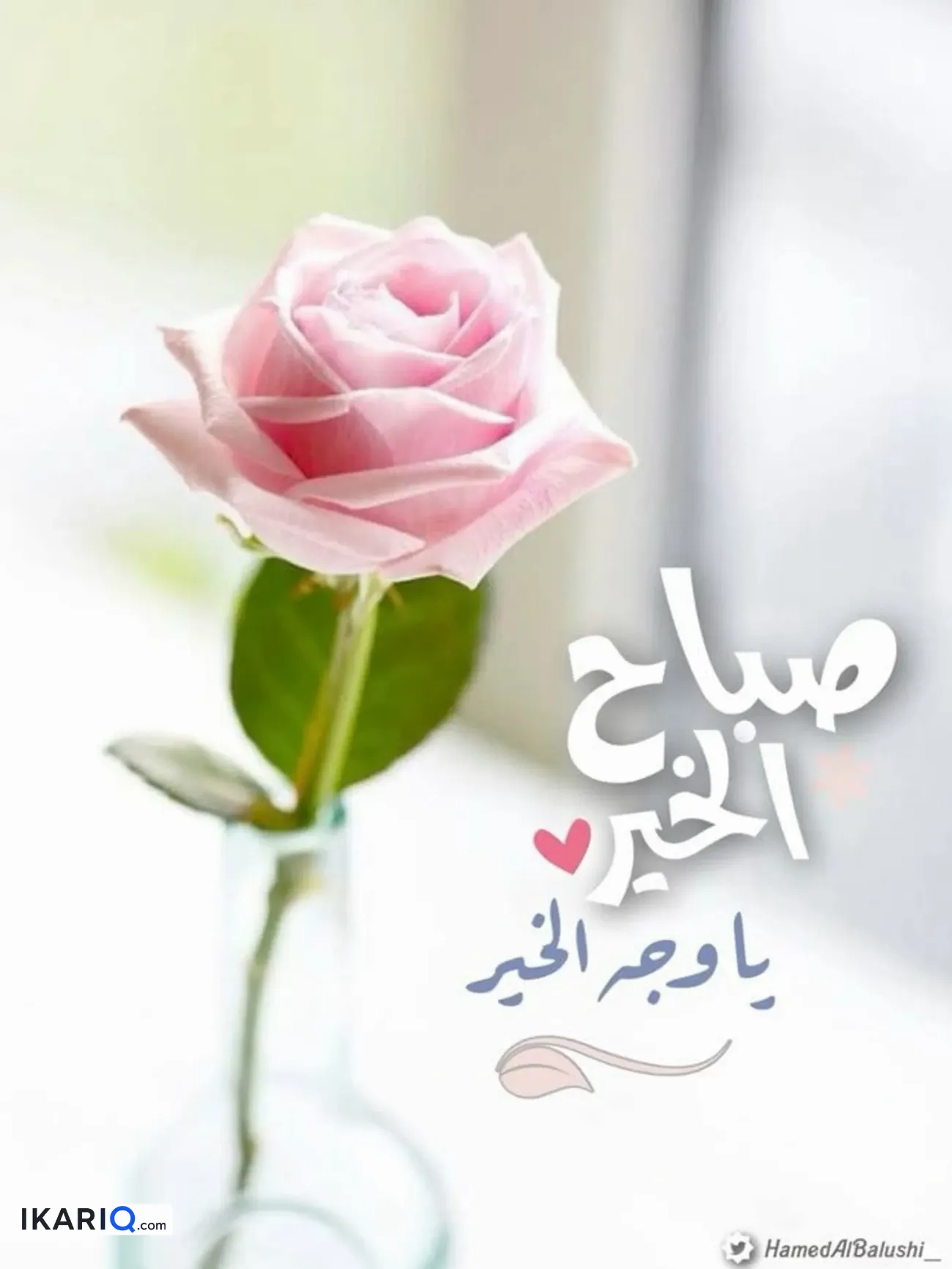 شقة للإيجار في المشراق الجديد - 145 م² / 1,000,000 IQD