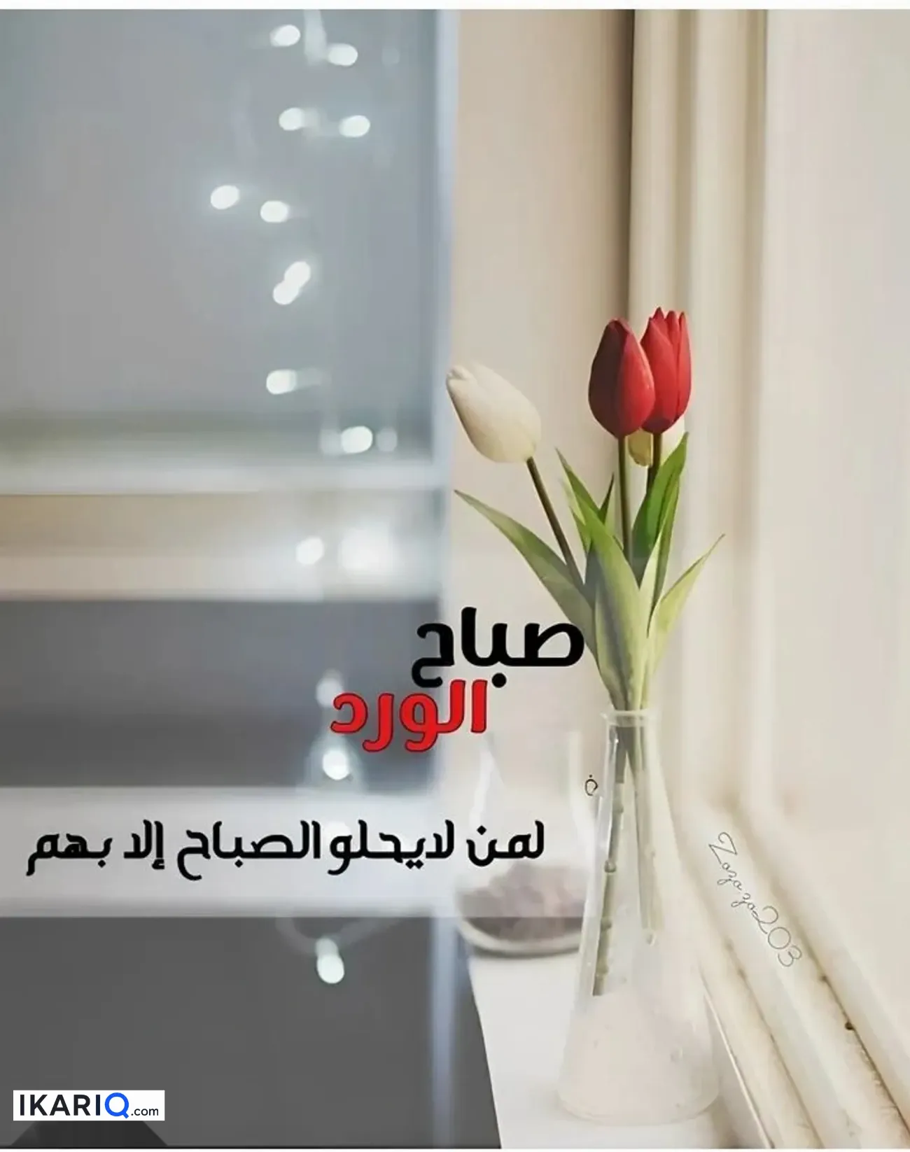 شقة للإيجار في المشراق الجديد - 145 م² / 1,000,000 IQD — صورة 2