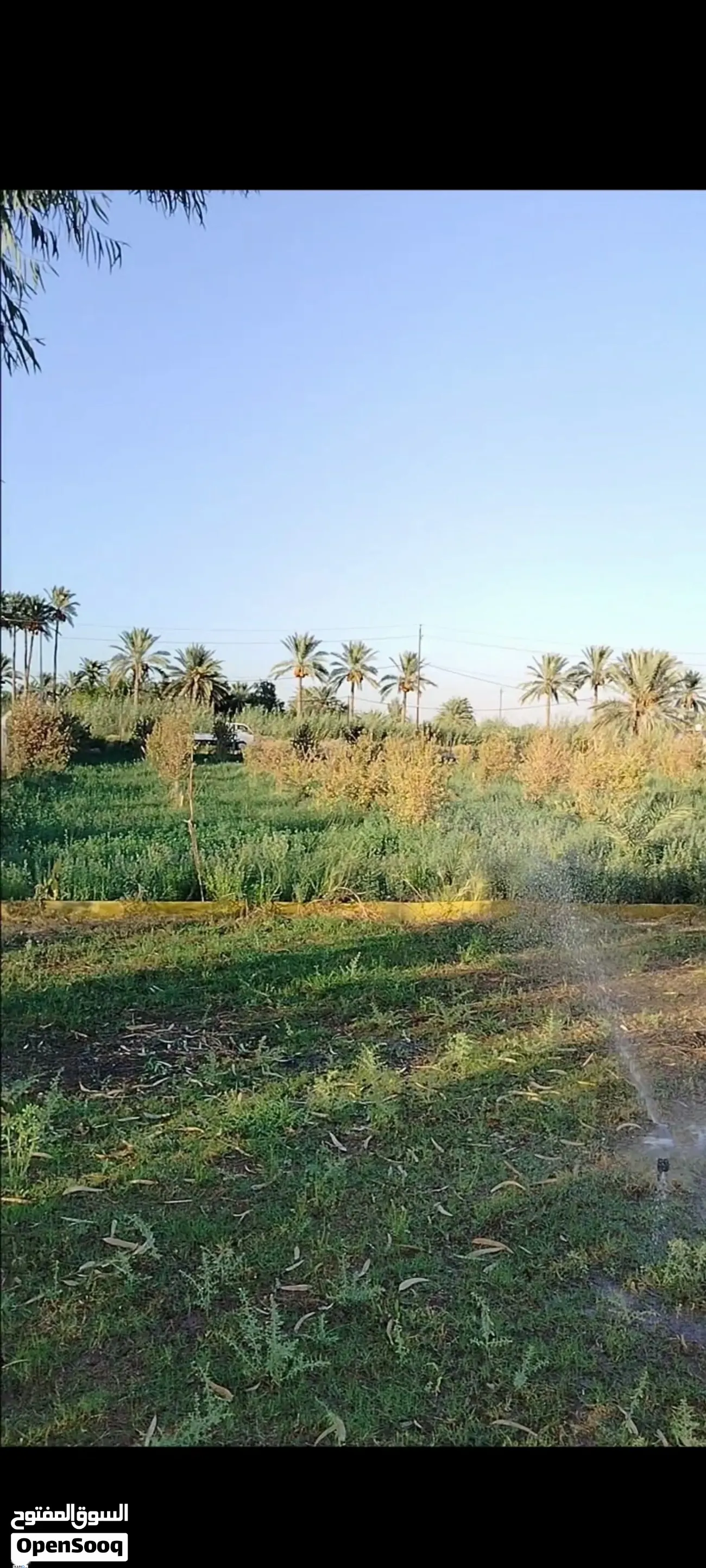 أرض للبيع في اليوسفية - 6250000 م² / 170,000,000 IQD — صورة 13