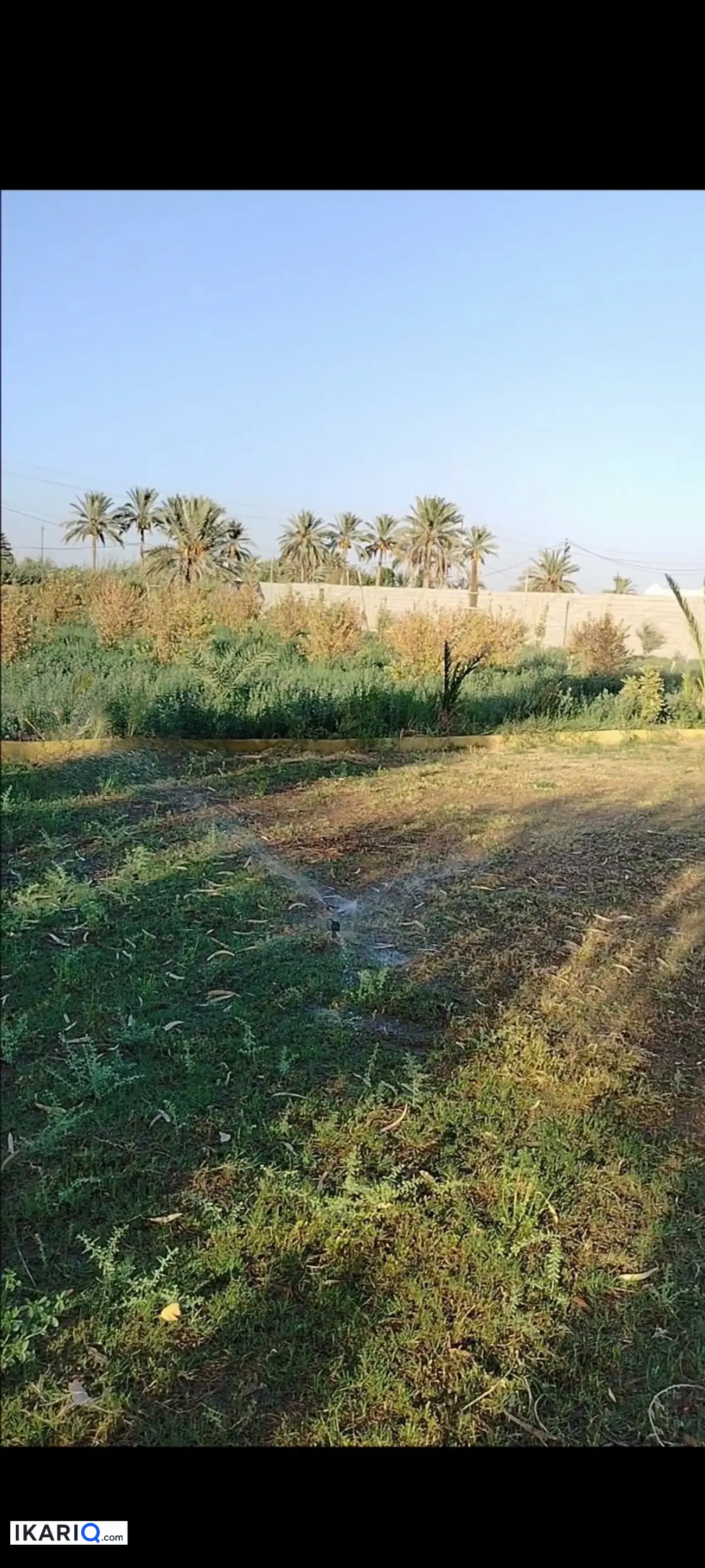 أرض للبيع في اليوسفية - 6250000 م² / 170,000,000 IQD — صورة 8