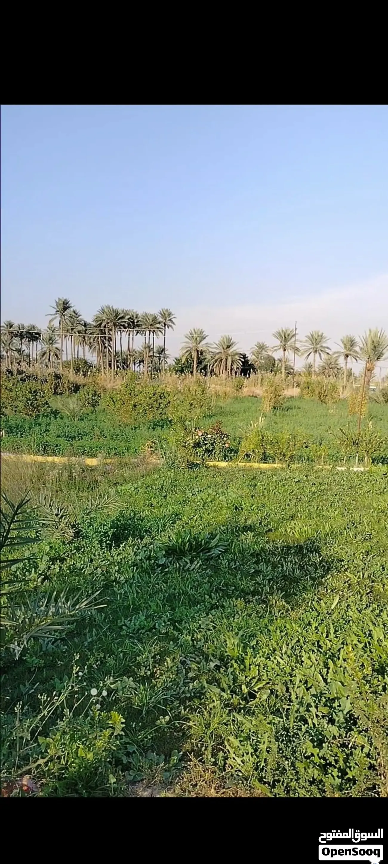 أرض للبيع في اليوسفية - 6250000 م² / 170,000,000 IQD — صورة 12