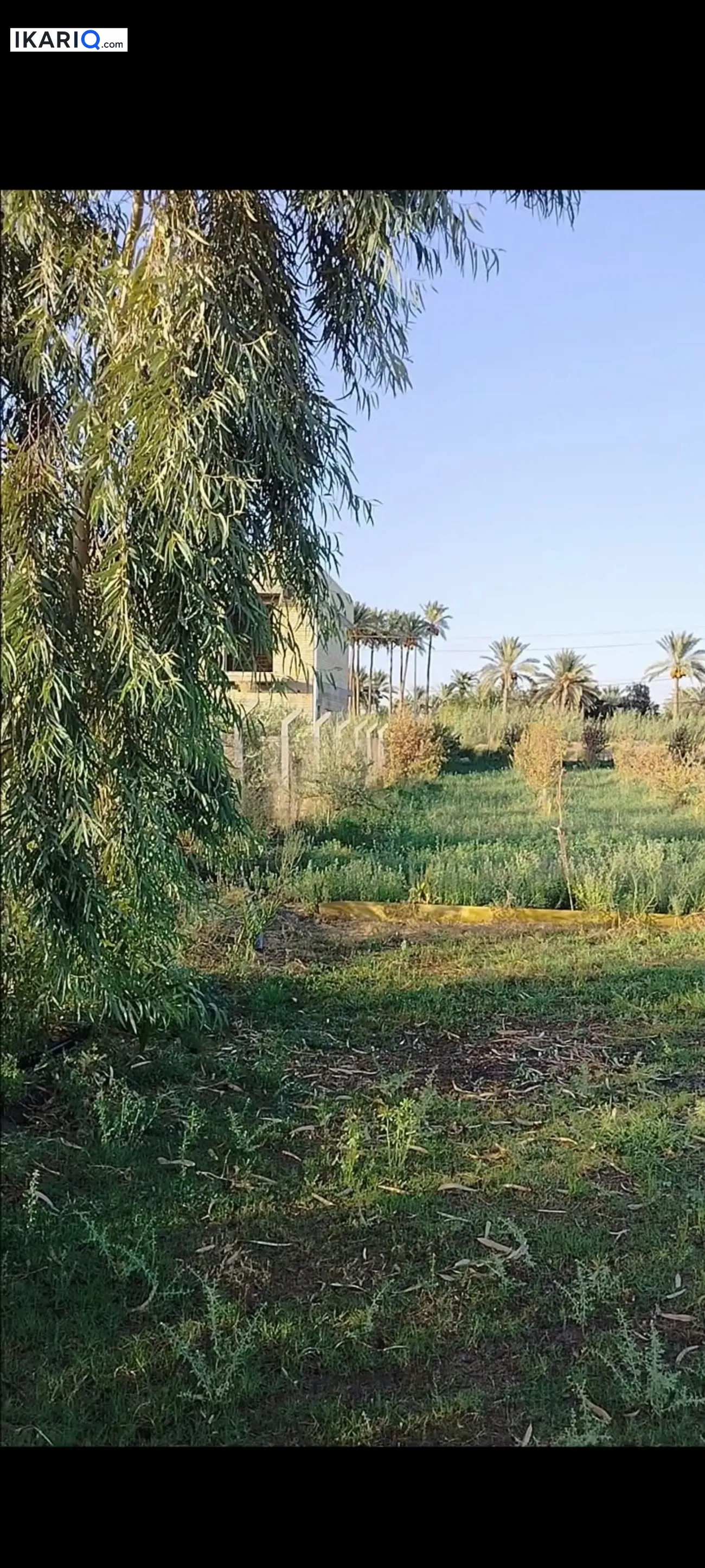 أرض للبيع في اليوسفية - 6250000 م² / 170,000,000 IQD — صورة 10