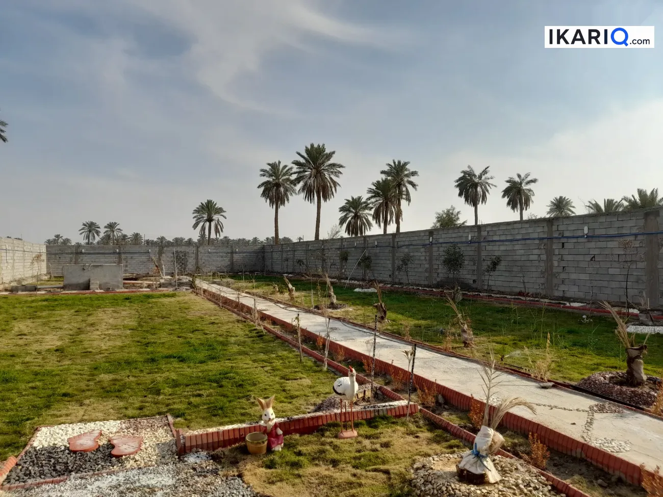 أرض للبيع في الجزيره - 1500 م² / 200,000,000 IQD — صورة 9