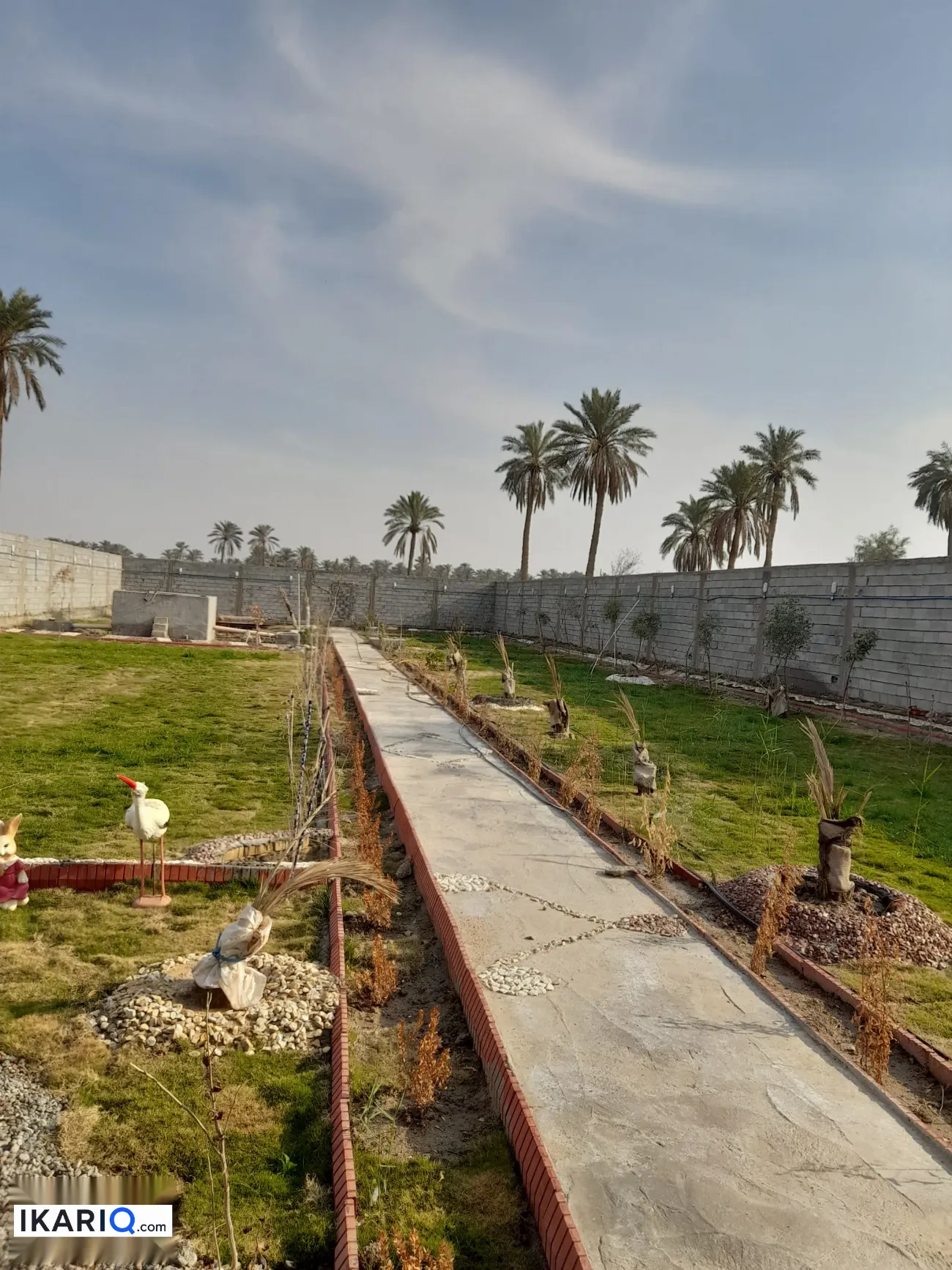 أرض للبيع في الجزيره - 1500 م² / 200,000,000 IQD — صورة 12