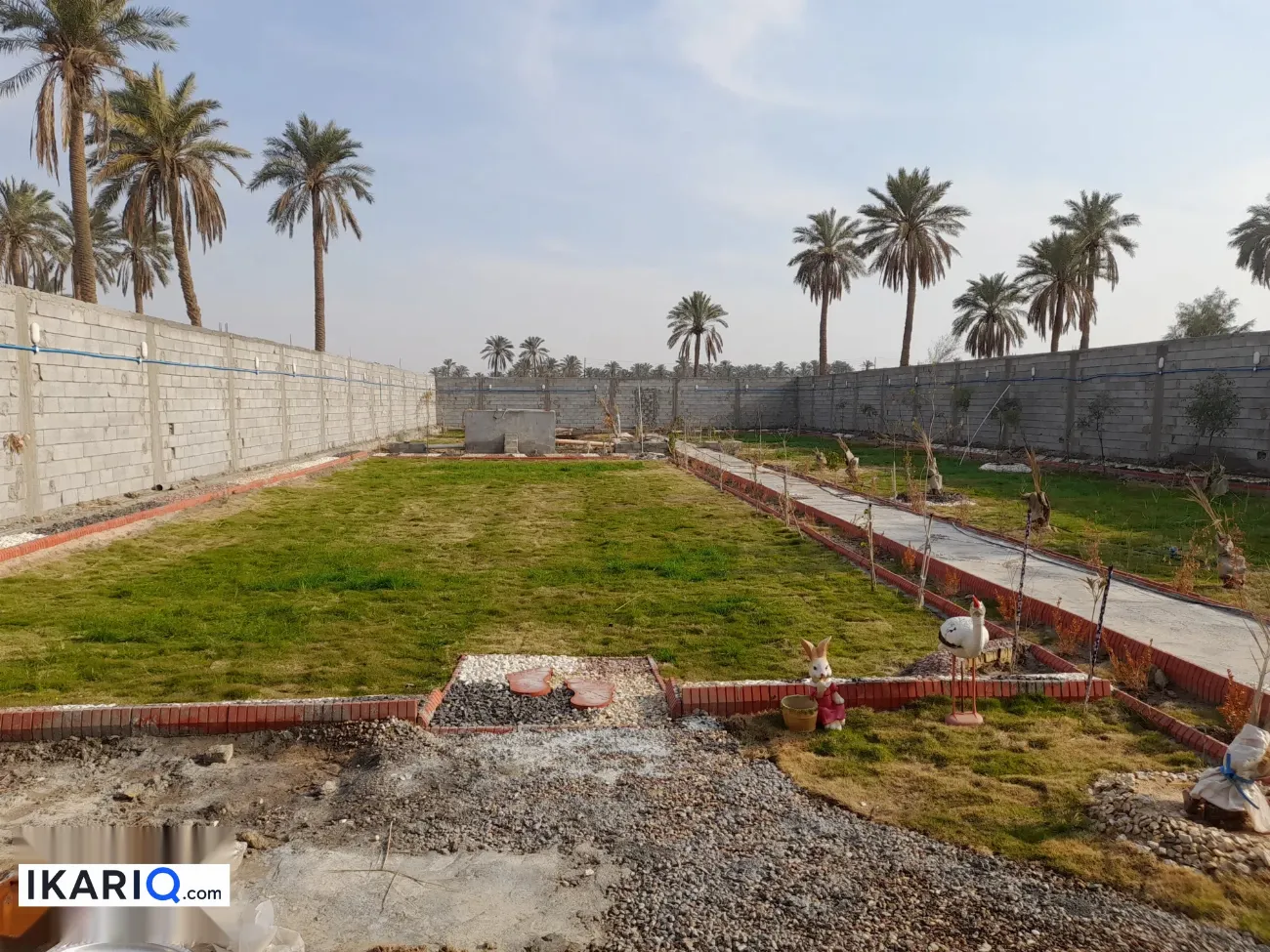أرض للبيع في الجزيره - 1500 م² / 200,000,000 IQD — صورة 8