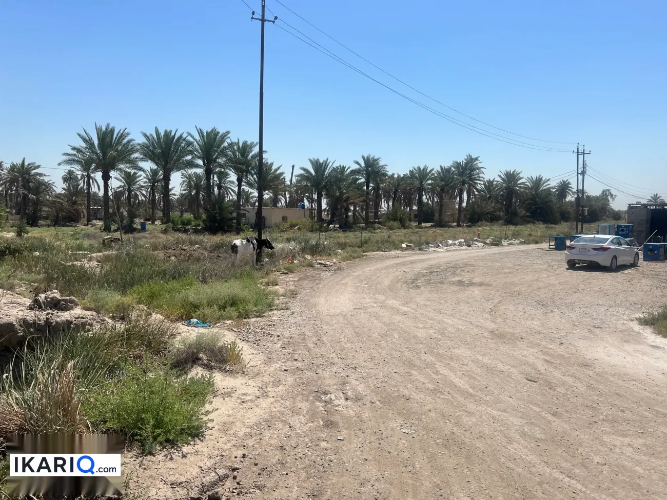 أرض للبيع في المحمودية - 300000 م² / 160,000,000 IQD — صورة 3