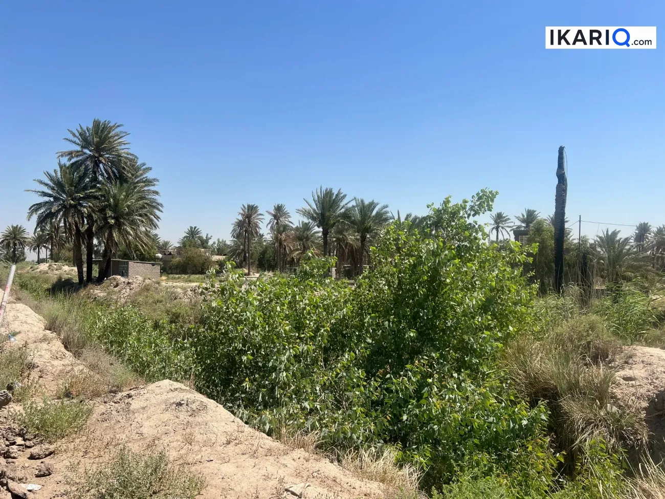 أرض للبيع في المحمودية - 300000 م² / 160,000,000 IQD — صورة 4