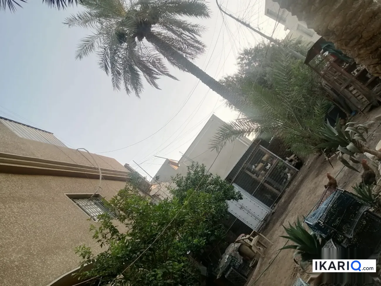 دار للبيع في حي القاهرة - 300 م² / 4,000,000 IQD — صورة 11