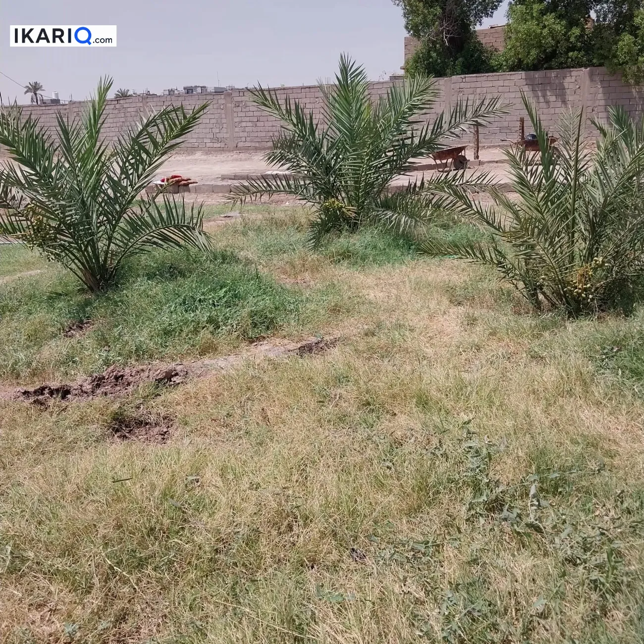 دار للبيع في ابي الخصيب - 400 م² / 300,000,000 IQD — صورة 2