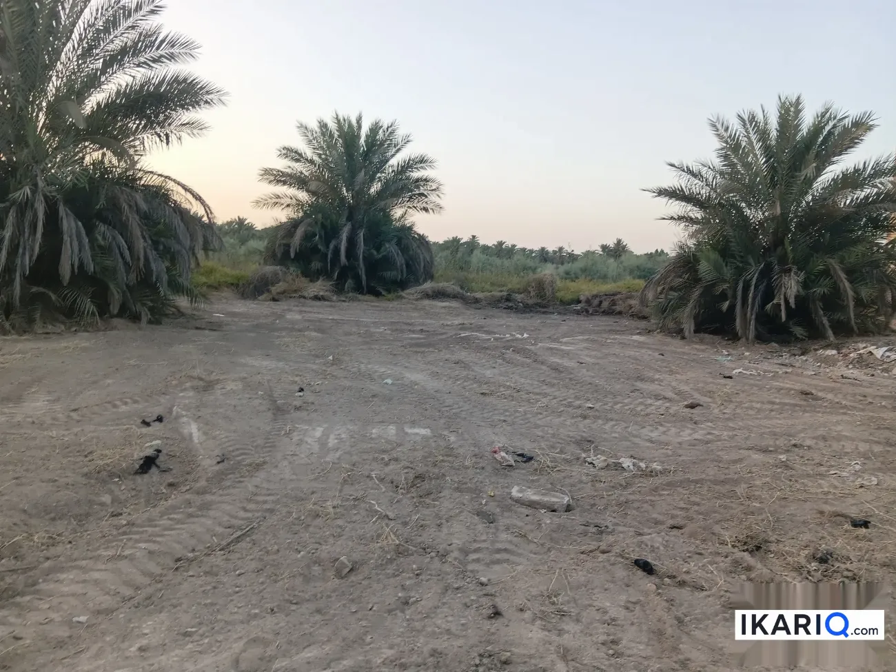 أرض للبيع في كربلاء - 100 م² / 36,000,000 IQD — صورة 2