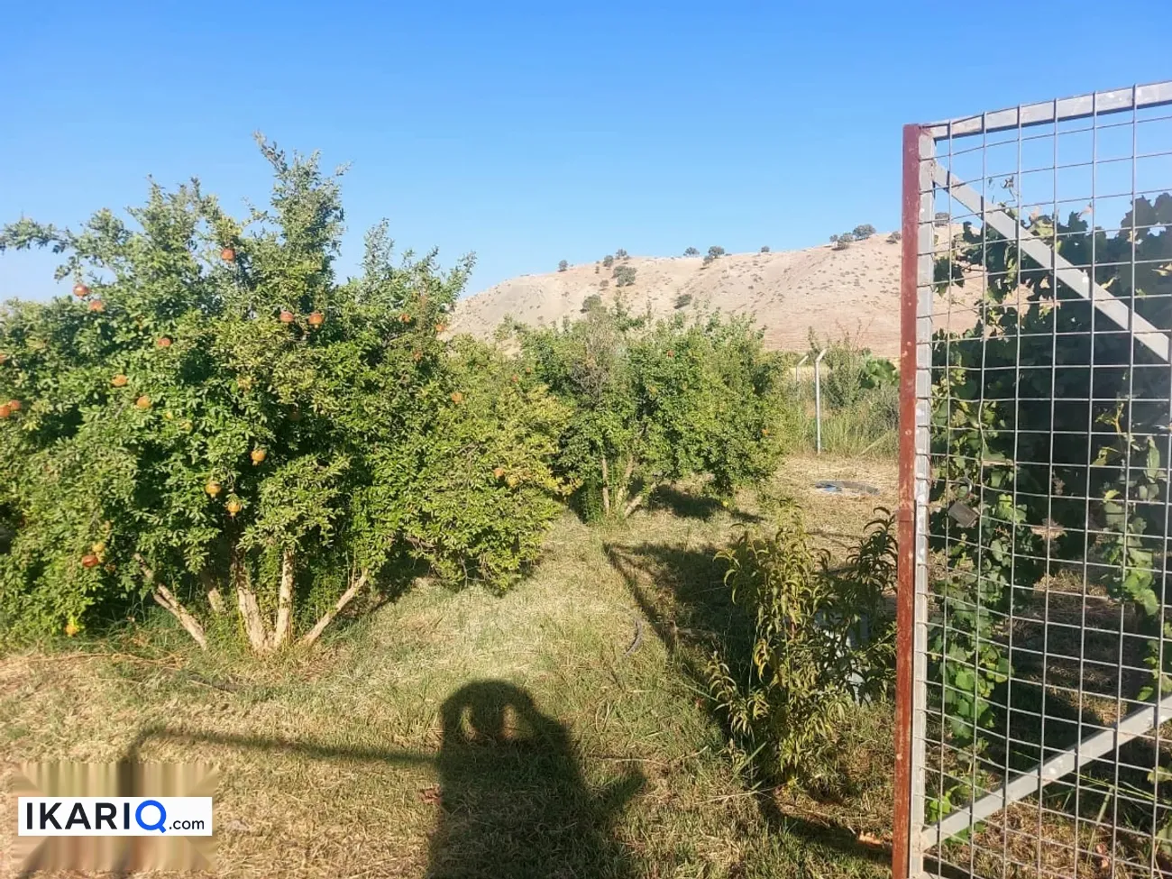 أرض للبيع في أربيل - 3840 م² / 40,000,000 IQD — صورة 10