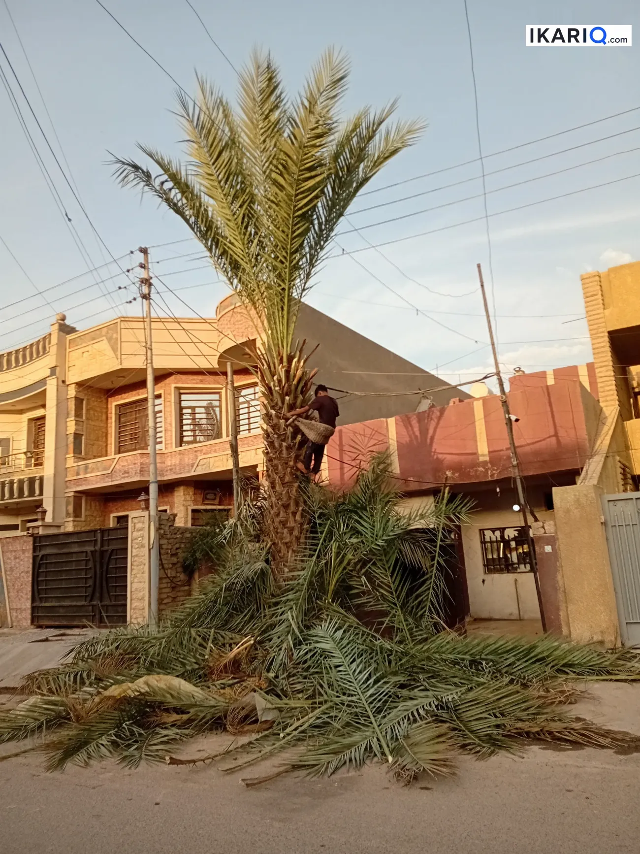 دار للبيع في الدورة - 126 م² / 275,000,000 IQD