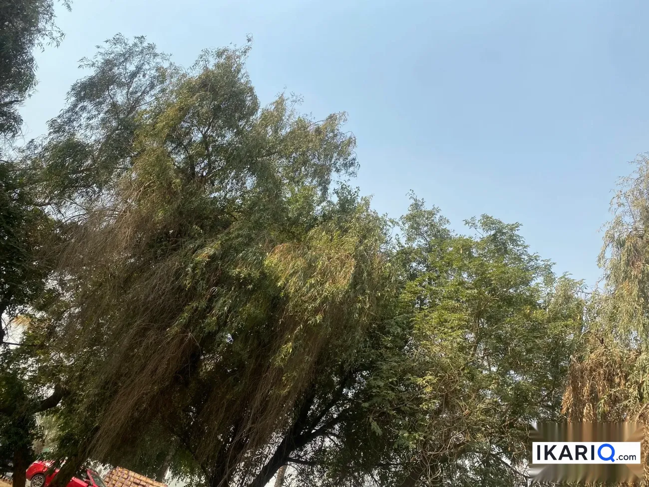 طابق من عمارة للإيجار في القادسية - 160 م² / 2,465,000 IQD — صورة 3