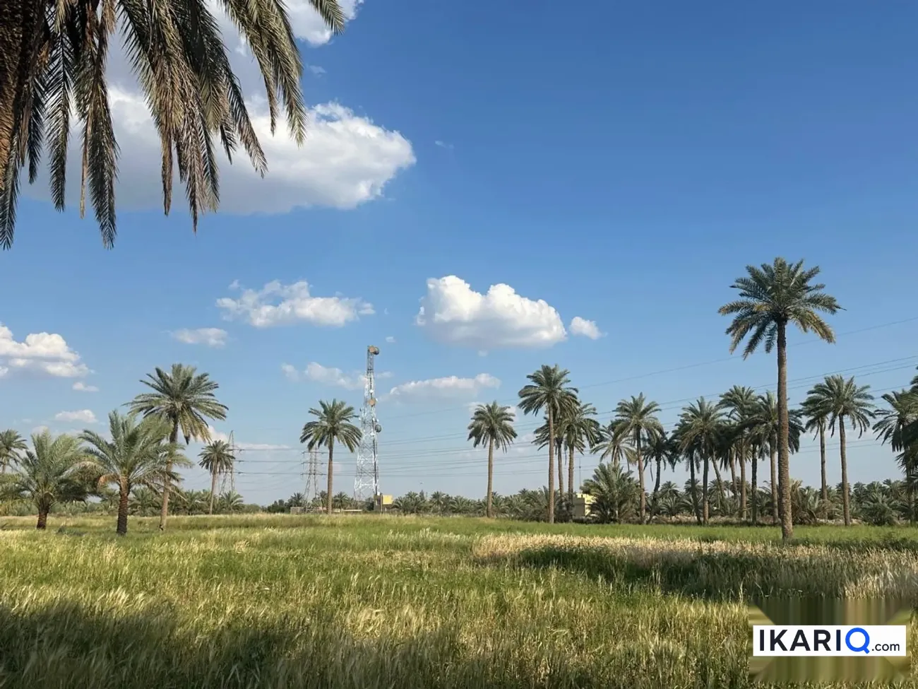 أرض للبيع في الهاشمية - 55 م² / 10,000,000 IQD — صورة 8