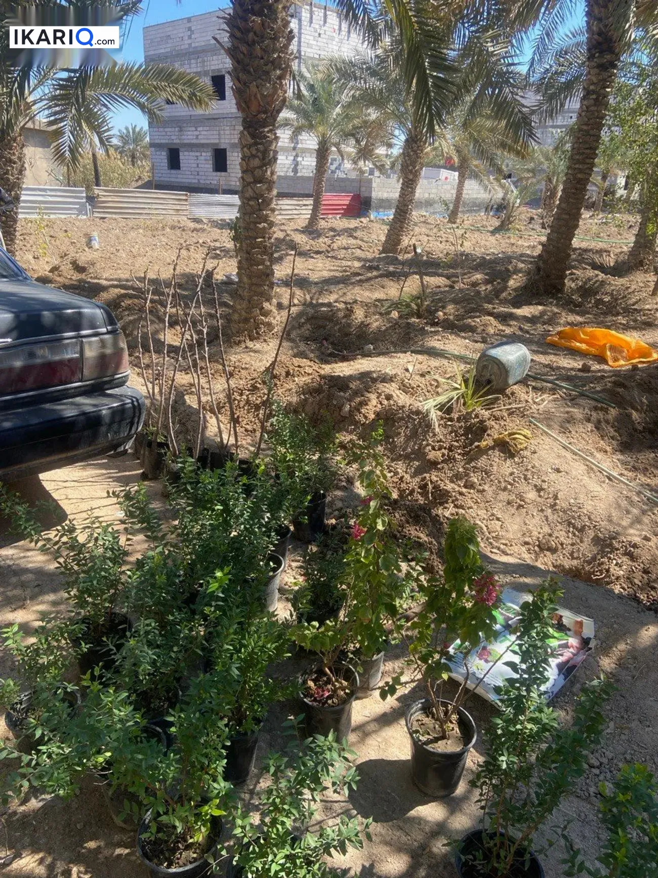 أرض للإيجار في ابو مغيرة - 750 م² / 25,555 IQD — صورة 5