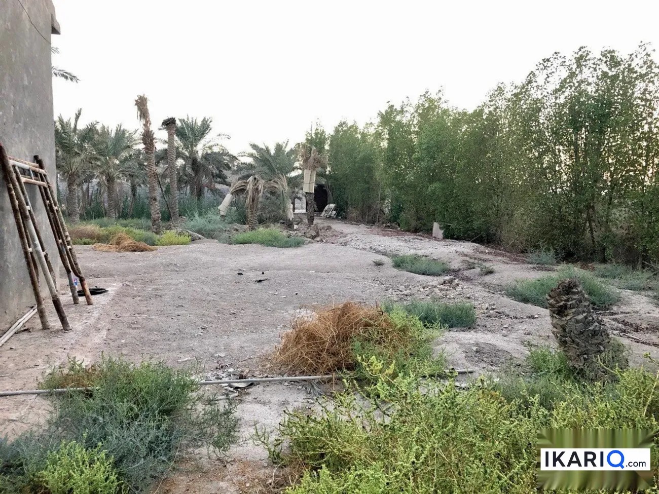 أرض للإيجار في ابو مغيرة - 750 م² / 25,555 IQD — صورة 6