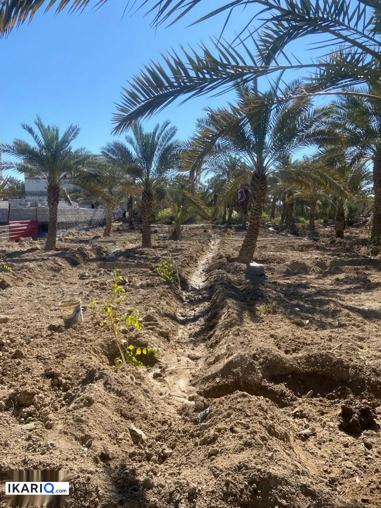 أرض للإيجار في ابو مغيرة - 750 م² / 25,555 IQD — صورة 7
