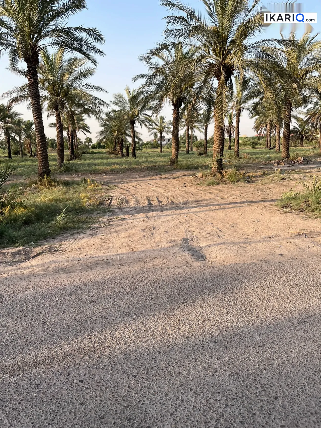 أرض للبيع في الدورة - 545 م² / 80,000,000 IQD