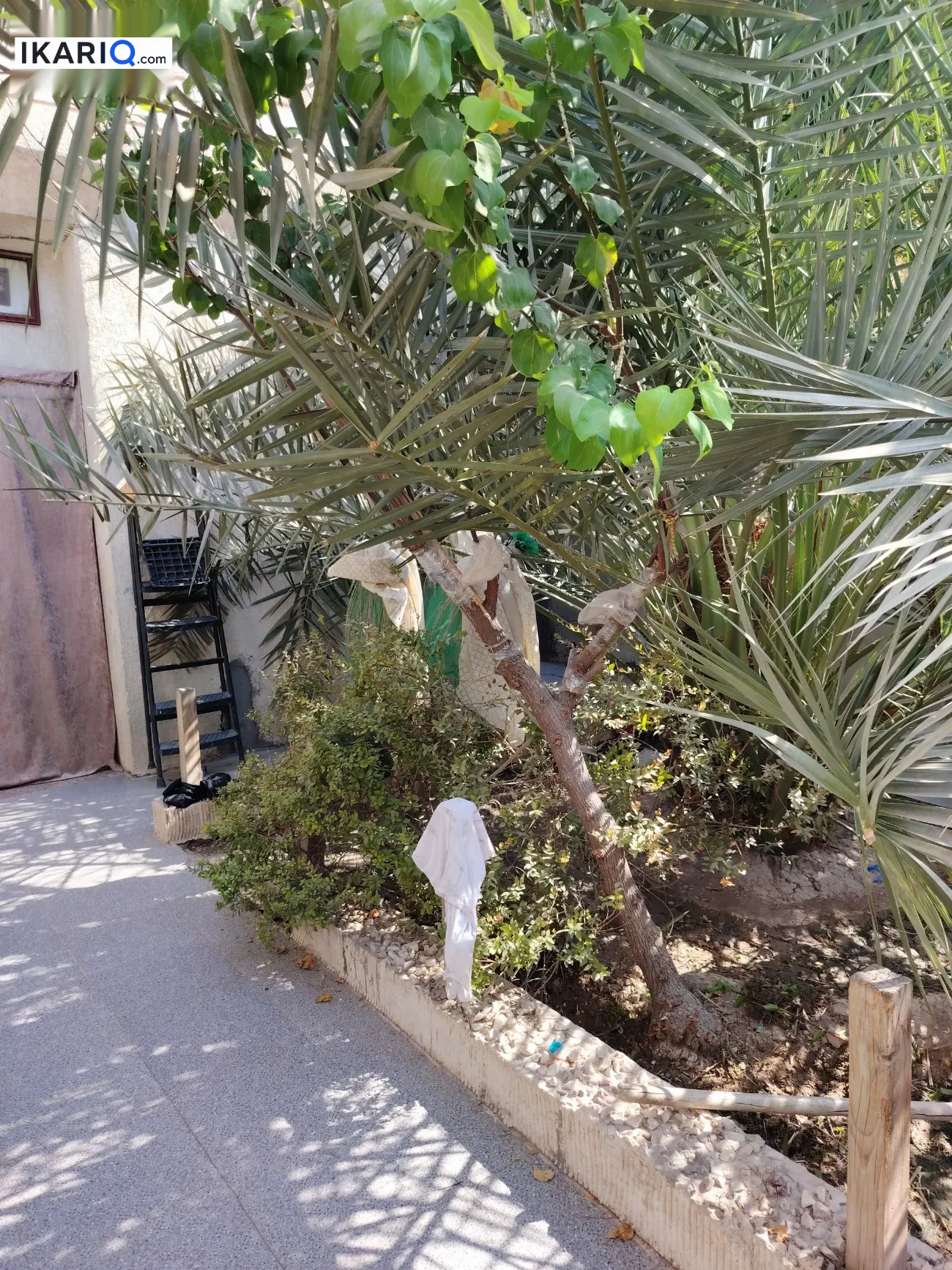 دار للبيع في المهندسين - 330 م² / 500,000,000 IQD — صورة 4