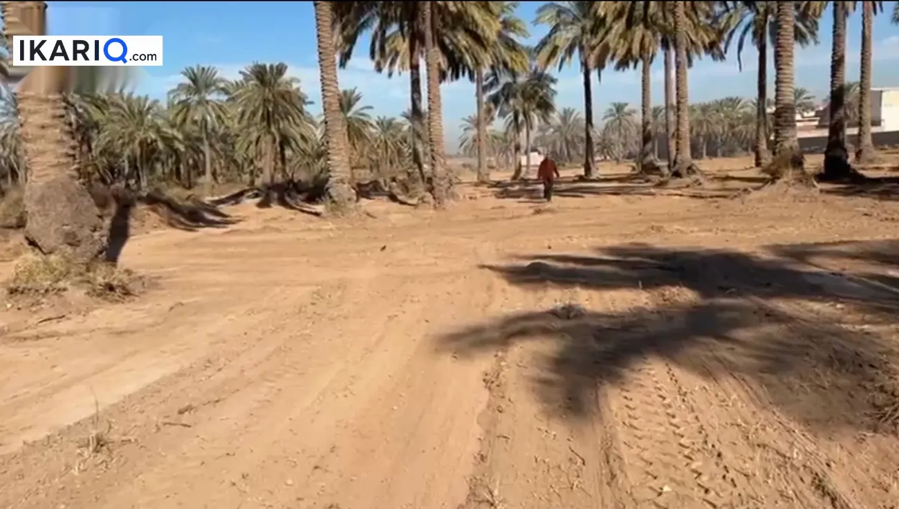 أرض للبيع في اليوسفية - 32500 م² / 6,500,000,000 IQD — صورة 4