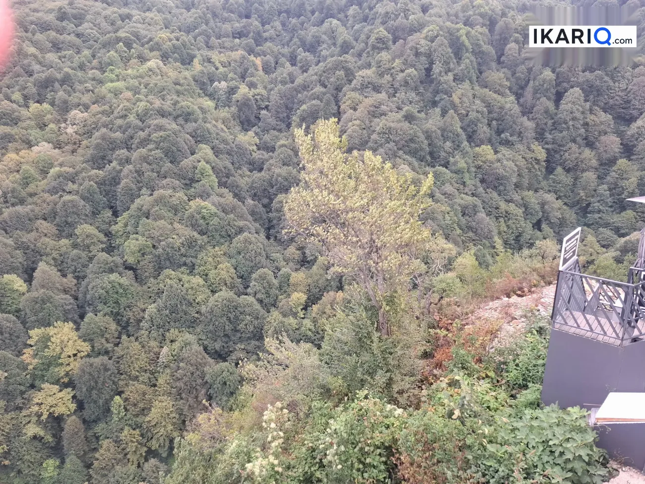 دار للبيع في كمب سارة - 1111 م² / 495,000,000 IQD — صورة 2