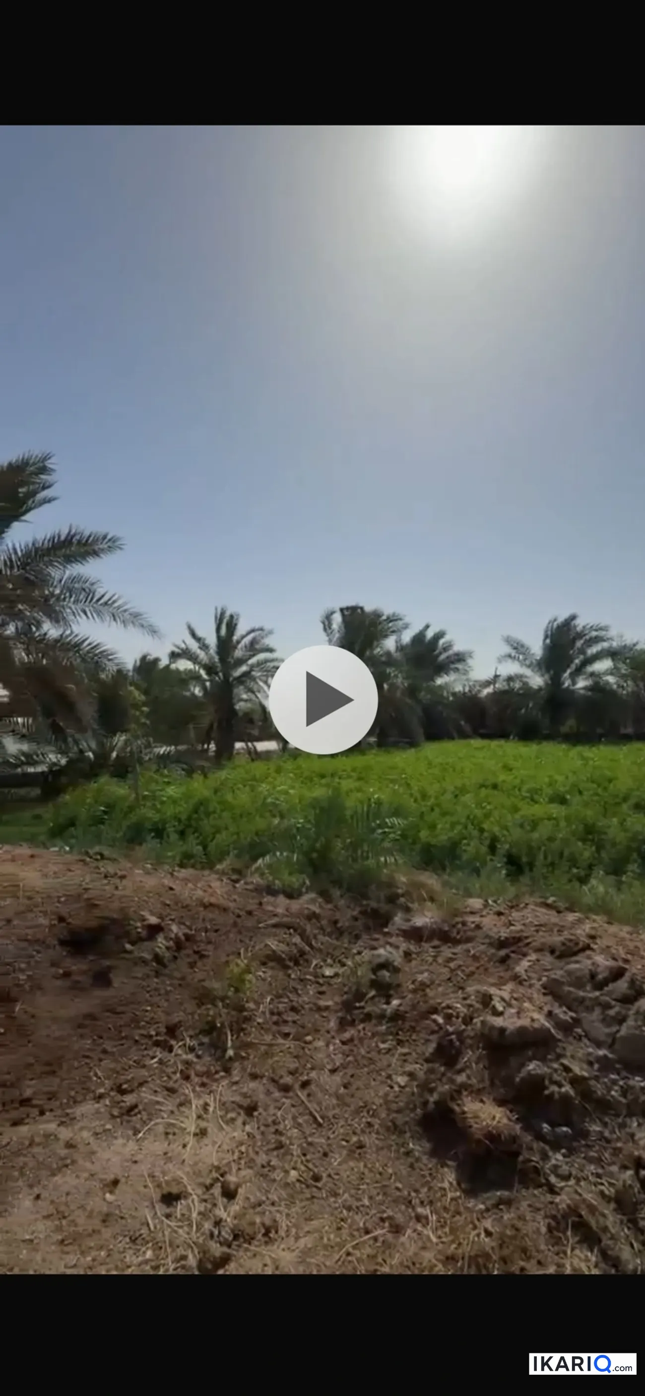 أرض للبيع في ابي الخصيب - 7500 م² / 8,700,000,000 IQD