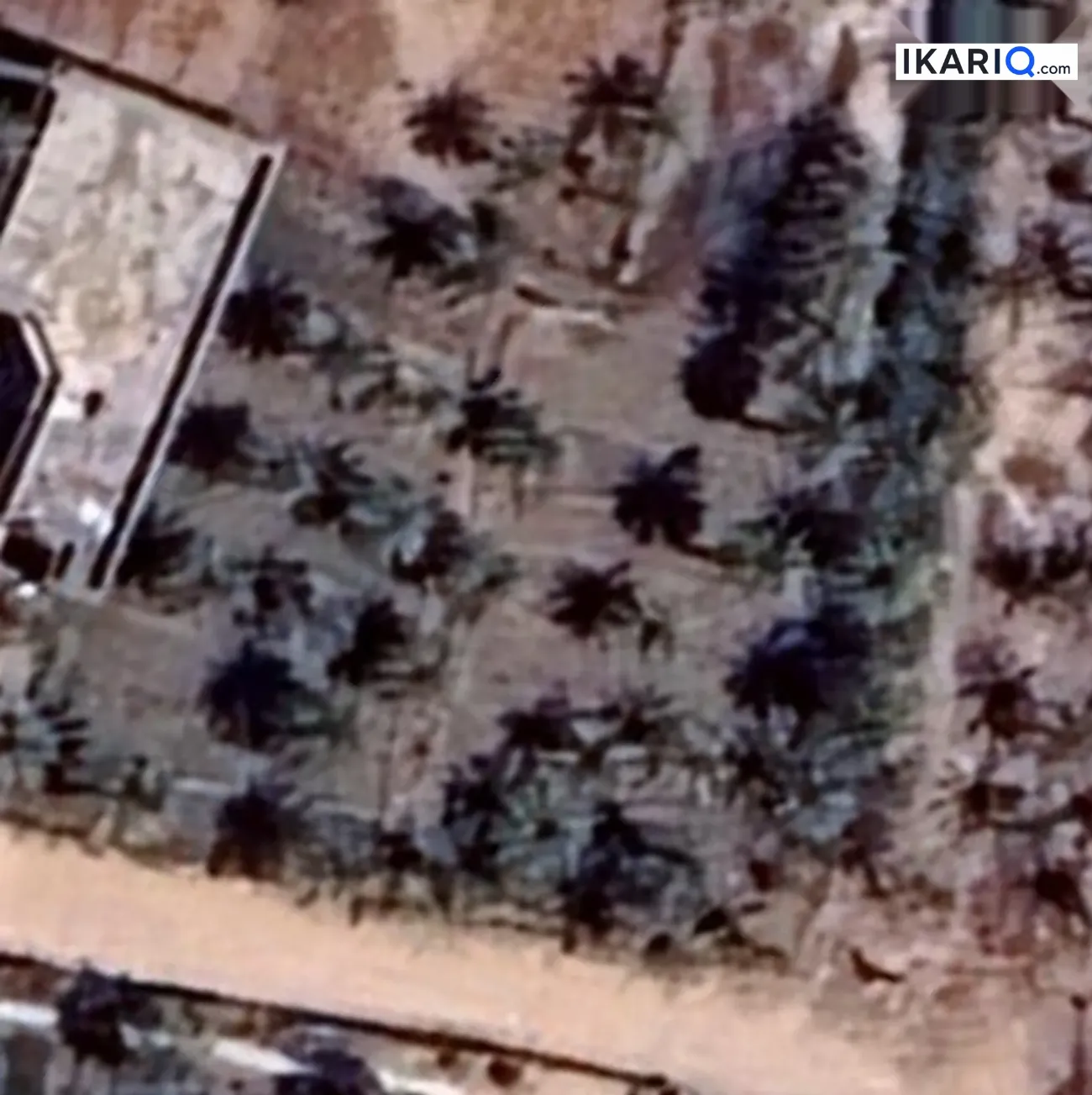 أرض للبيع في الحوطة - 1250 م² / 160,000,000 IQD — صورة 2
