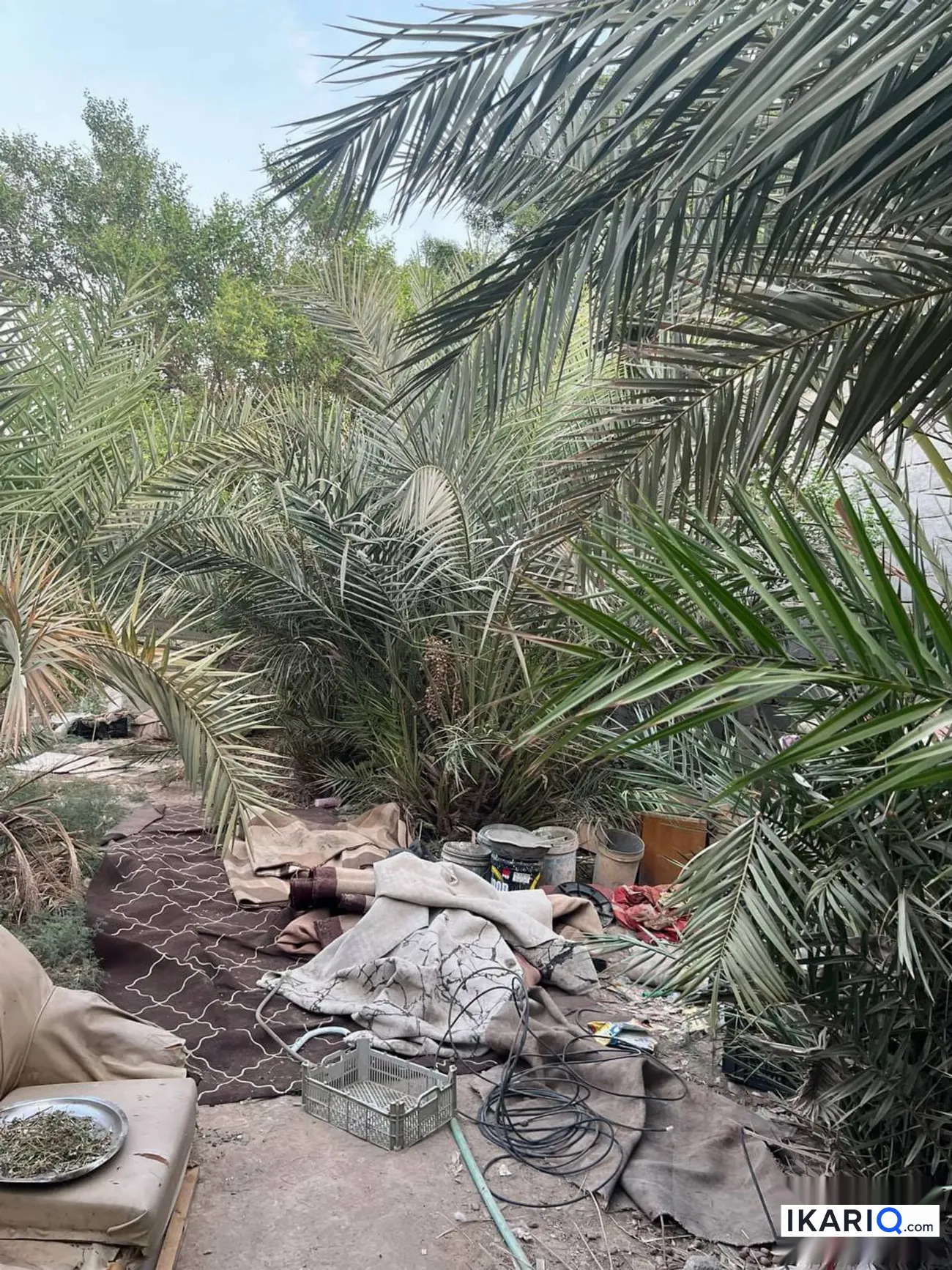 دار للبيع في ابو مغيرة - 400 م² / 60,000,000 IQD — صورة 15